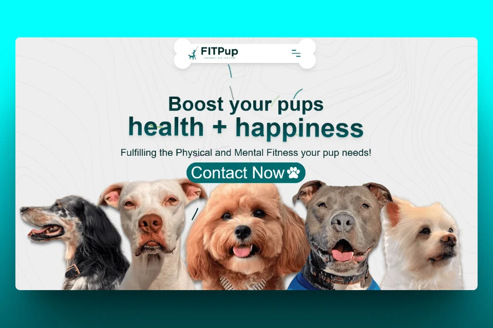 FitPup proyecto