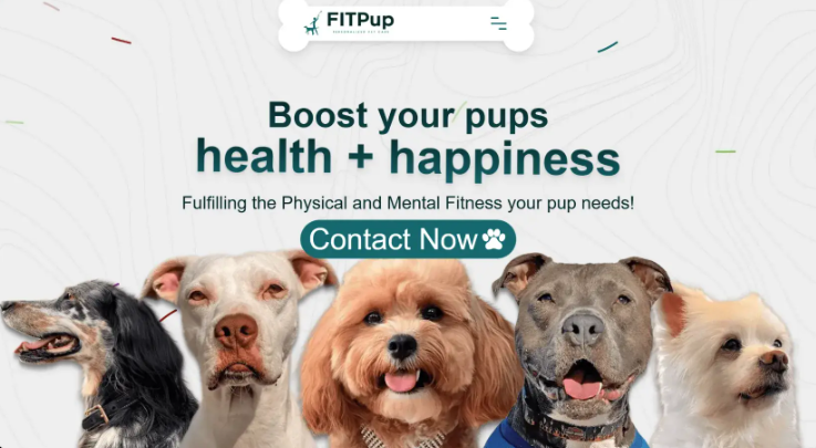 FitPup proyecto